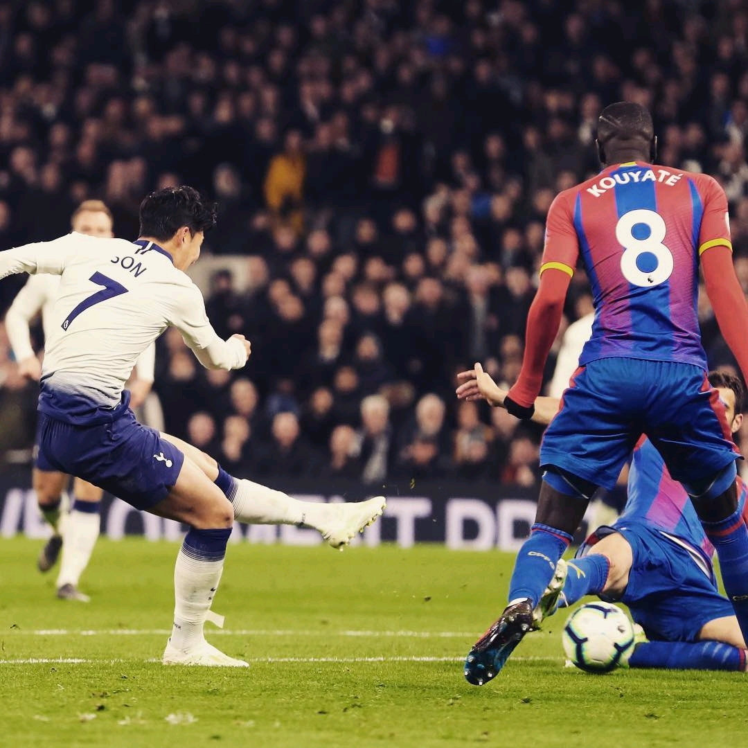 树立了良好 树立了良好